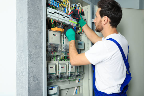 Best Electrical System Inspection  in Natalia, TX